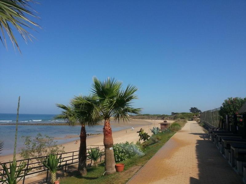 סהורה Beach Front Villa 10,000M2 Botanic Garden מראה חיצוני תמונה