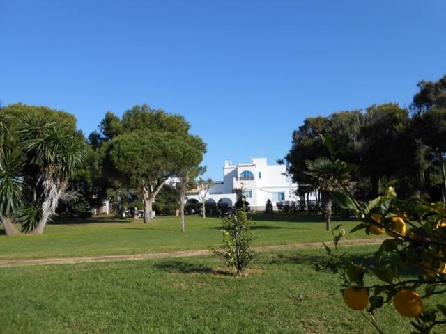 סהורה Beach Front Villa 10,000M2 Botanic Garden מראה חיצוני תמונה